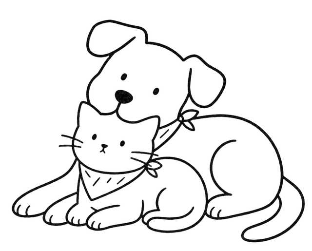 A cat and a dog leaning on each other
