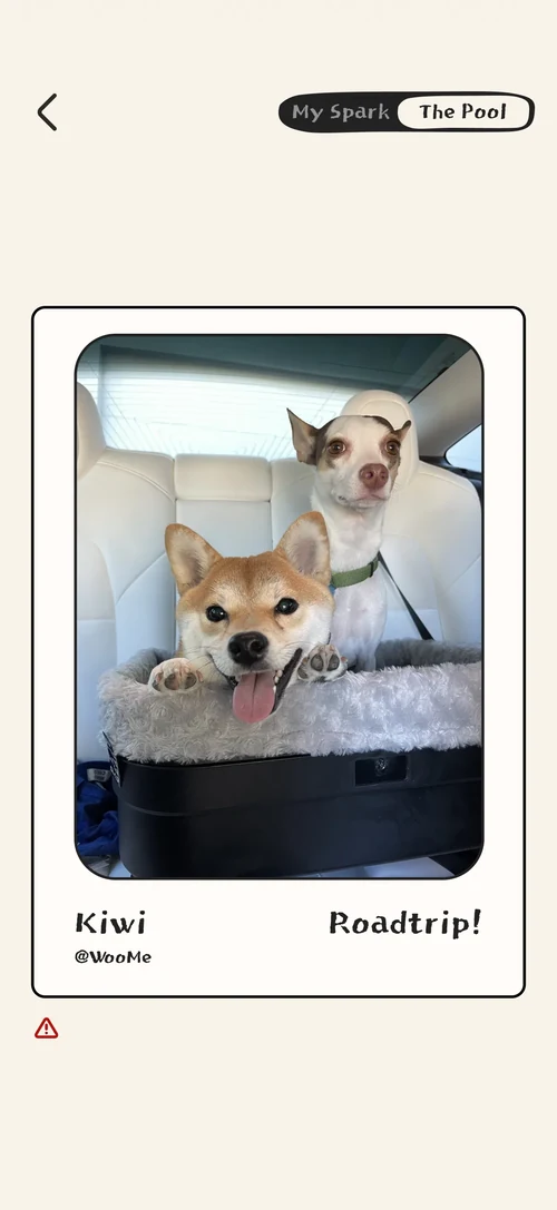 Writing a Spark: a photo of Kiwi with the line “Roadtrip!”