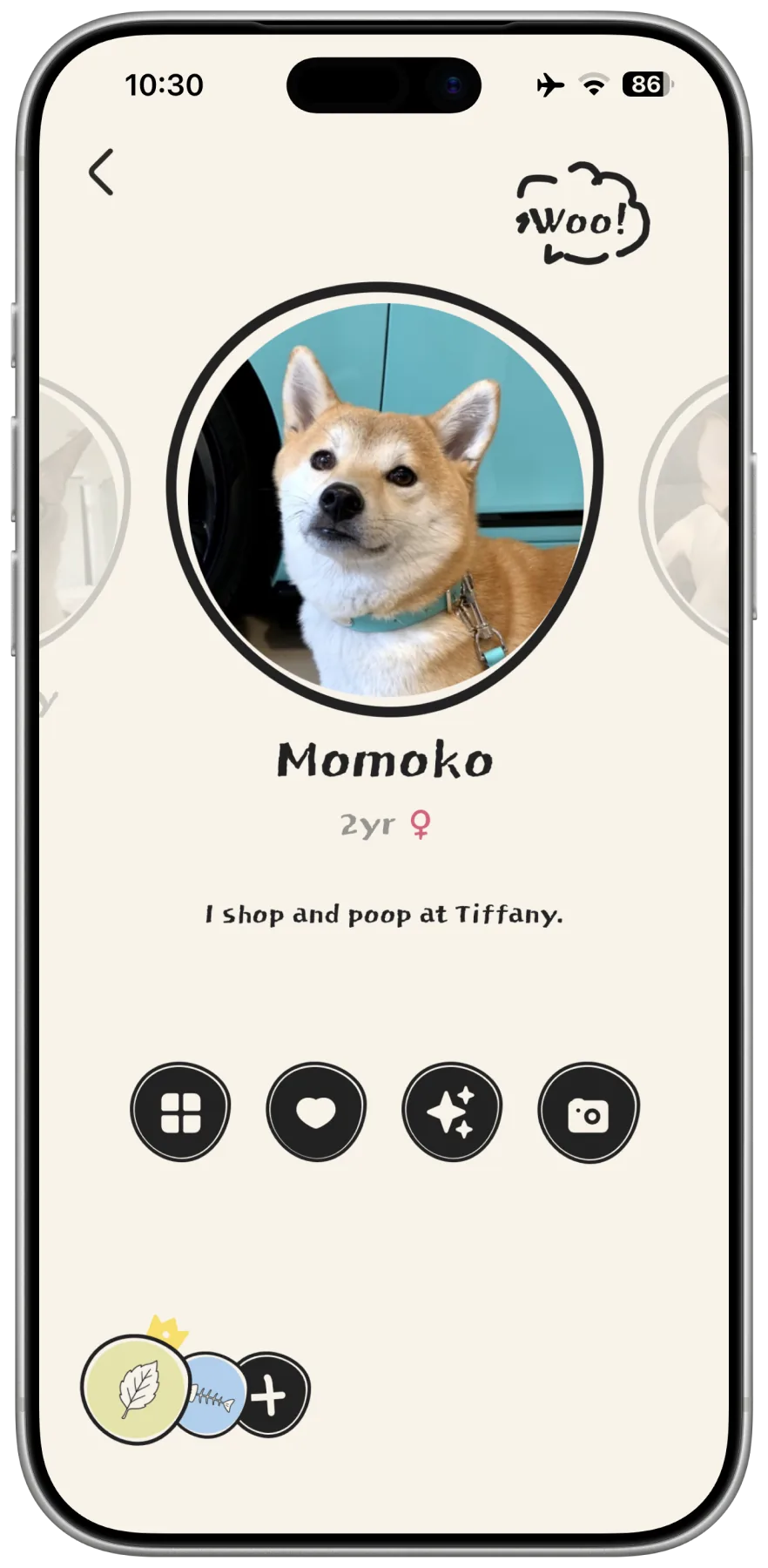 A WooMe pet profile: Momoko, a Shiba Inu