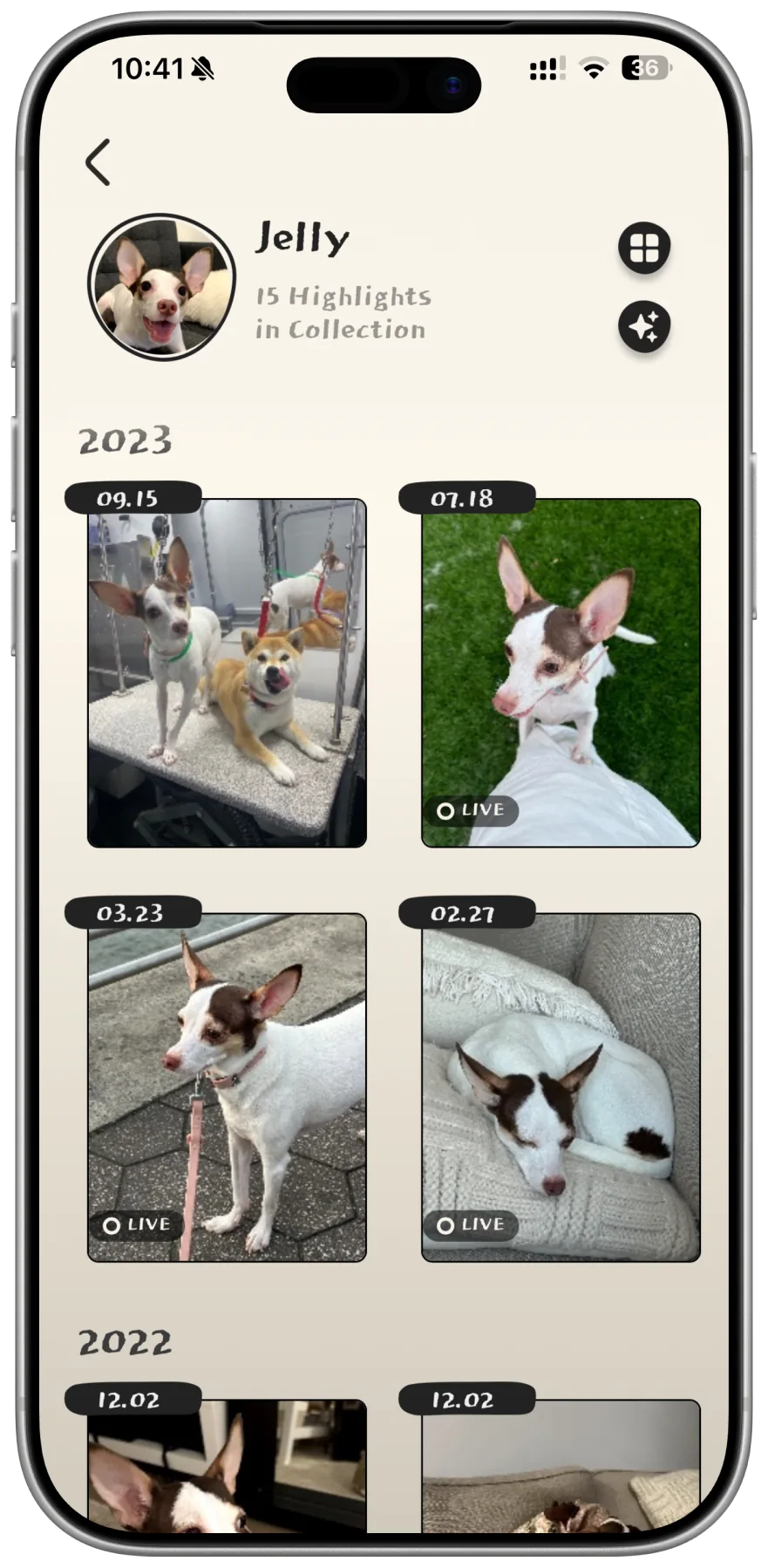 Jelly's highlights, grouped by year