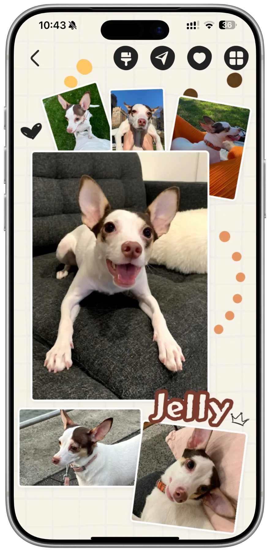 Jelly's photo collage in WooMe