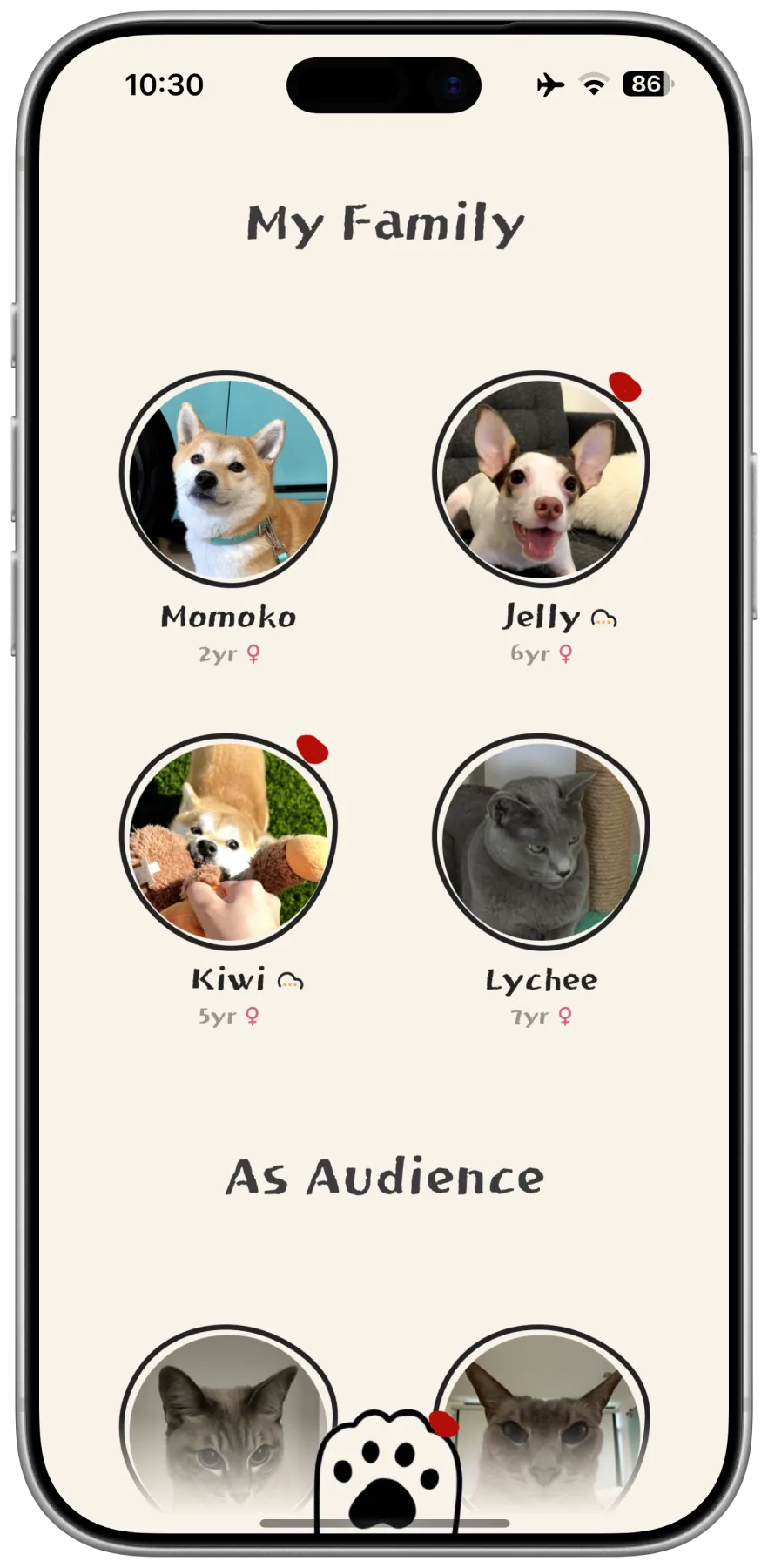 My Family: the pets you care for, side by side